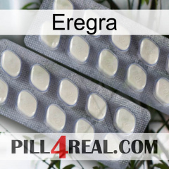 Eregra 07